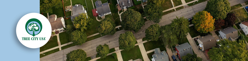 Tree City USA