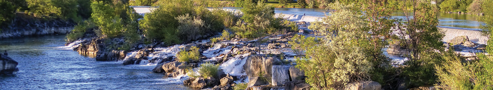 Photo of the falls in downtown