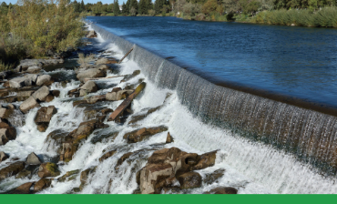Photo of water running over a dam on a bright summer day