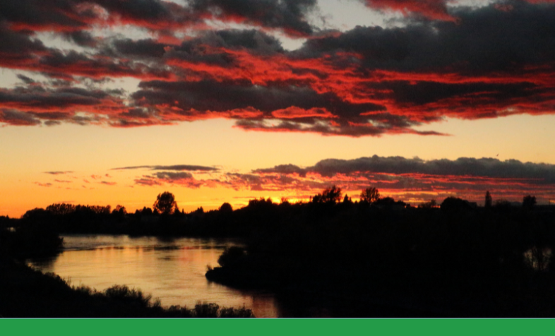 Sunset over river with trees